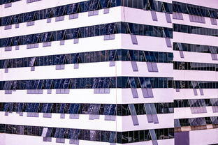 爱游戏app-体育新闻中心建设体育数字内容版权保护体系，体育数据新闻