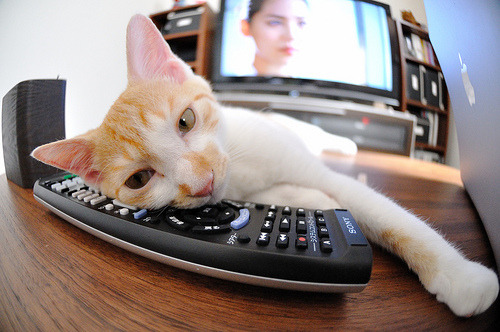 国足惨败亚冠联赛 技术复盘揭示漏洞,国足亚预赛成绩