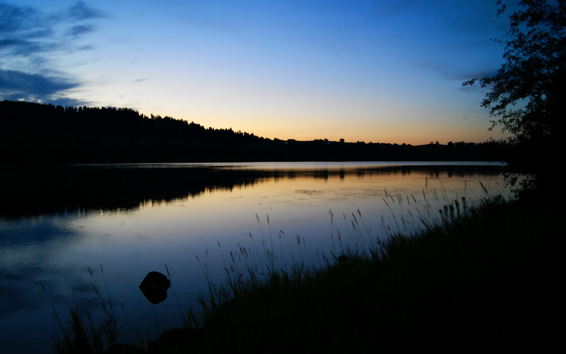 AYX GAMING-明星运动员自传出版引发社会共鸣，运动员转型明星