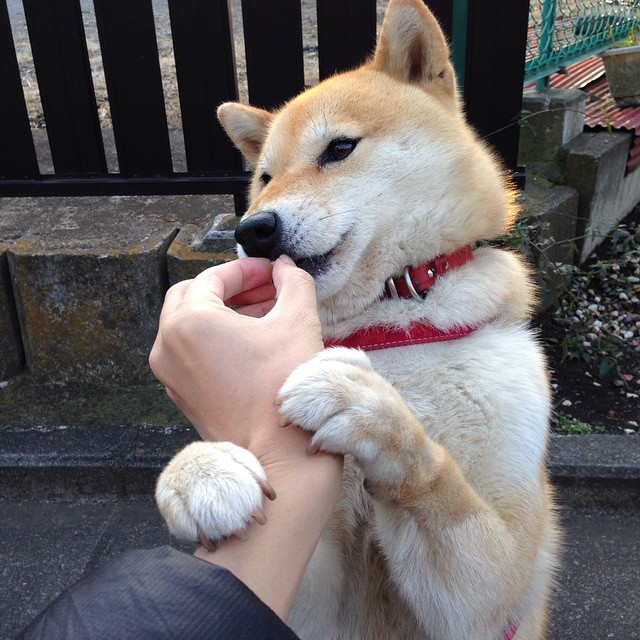 爱游戏-体育场馆无障碍设施建设情况，无障碍设施体验方案