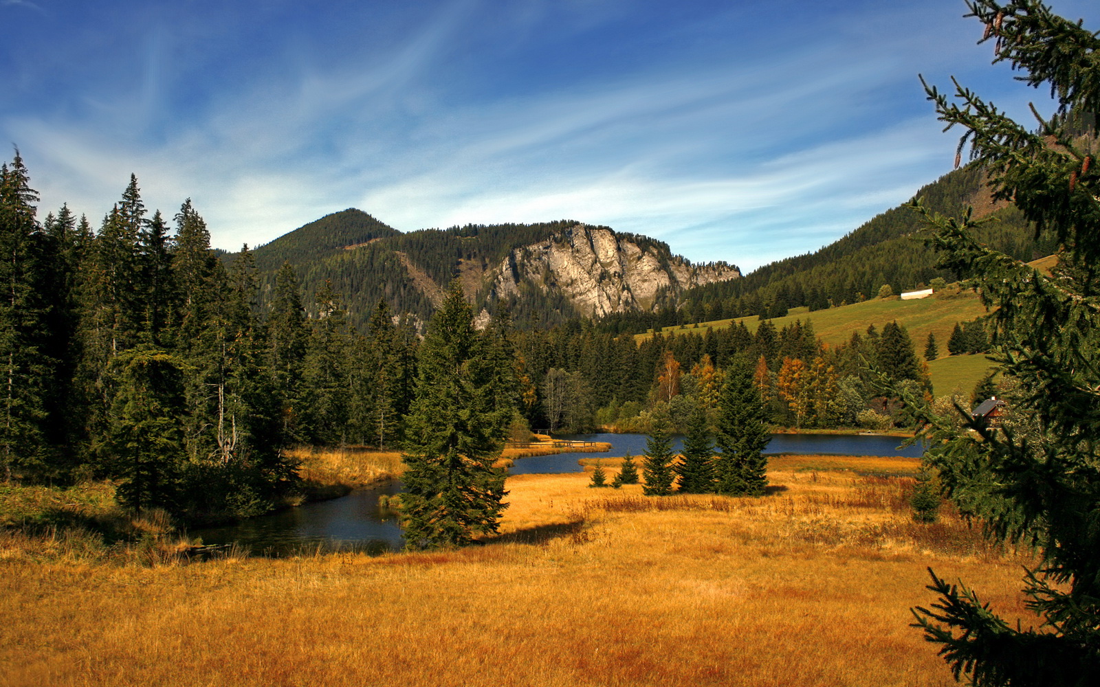 爱游戏-吉尔吉斯斯坦女将自由泳展现速度优势，吉尔吉斯斯坦游泳运动员