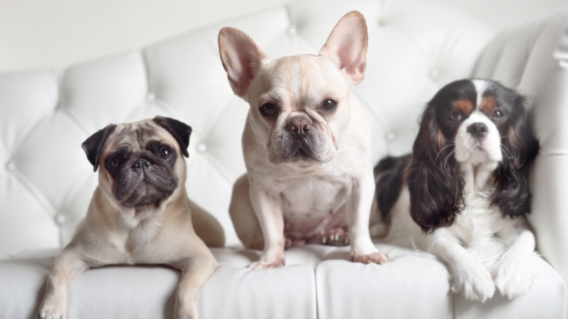 AYX GAMING-巴布亚新几内亚在亚洲预赛中奋勇争先，期待突破历史