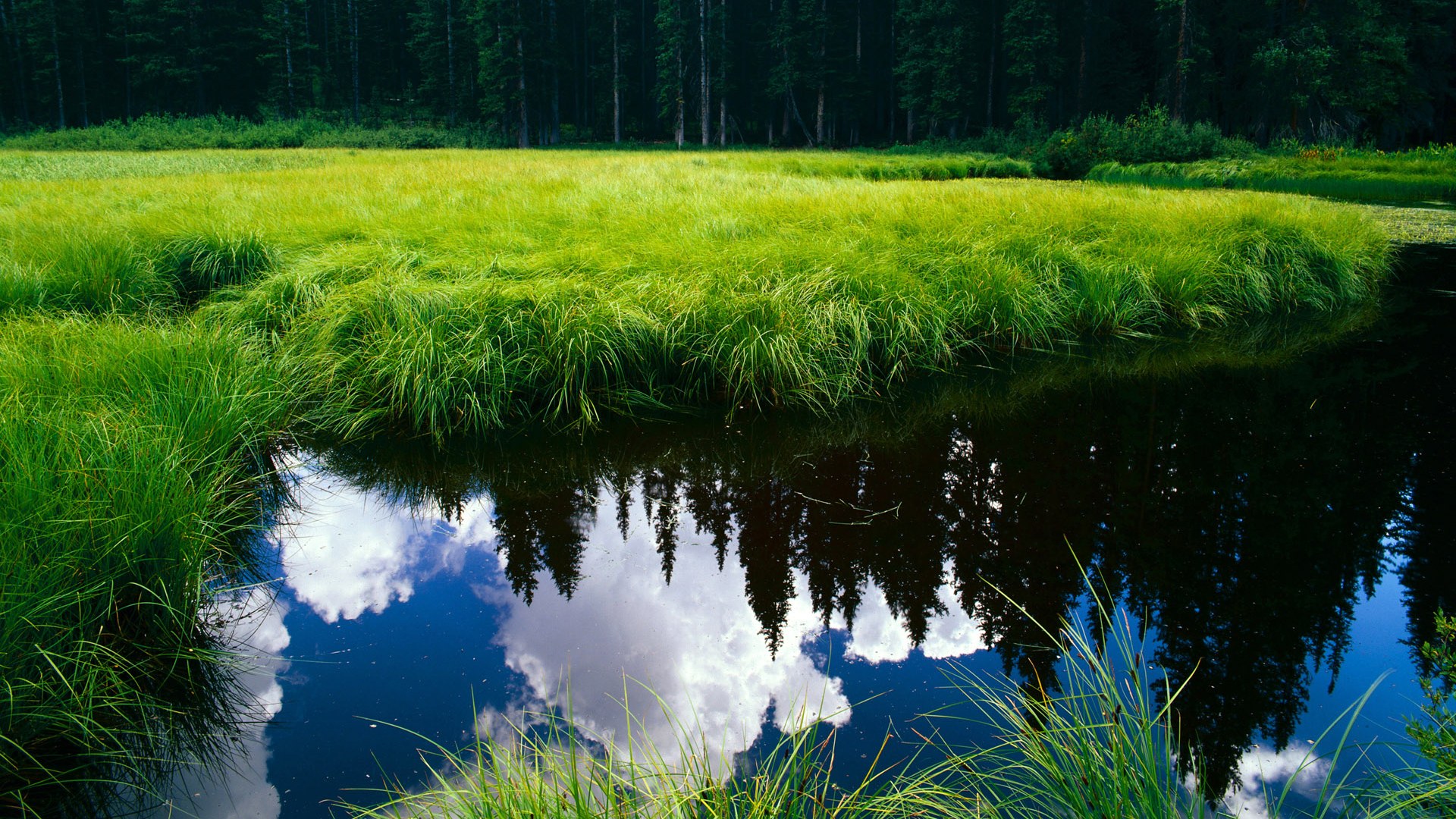 AYX官网-快船小前锋晒家庭合照感谢支持力量，快船大前锋