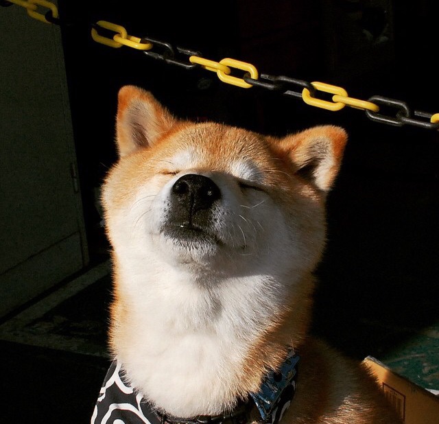 快船小前锋晒家庭合照感谢支持力量,快船大前锋