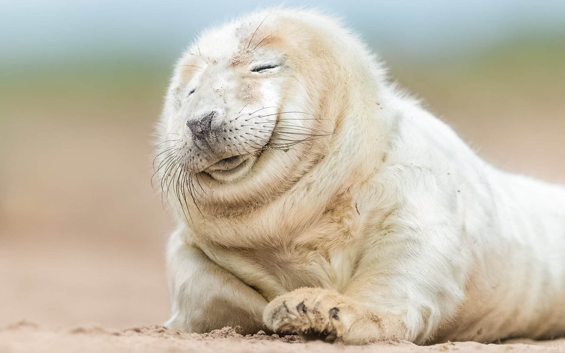 爱游戏-皮特·卡普尔全场展现卓越球技，成为袋鼠队攻防两端的核心，皮尔斯vs卡特