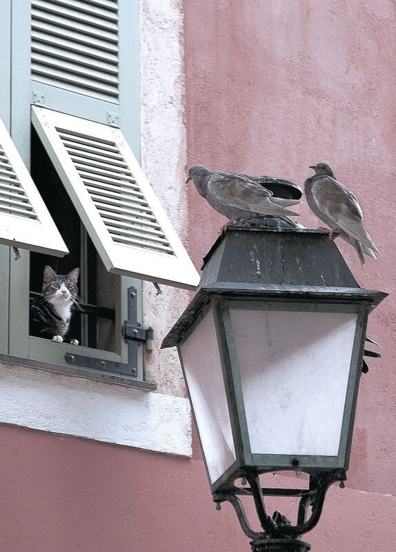 英超比赛如火如荼:一场场精彩刺激!,英超比赛具体