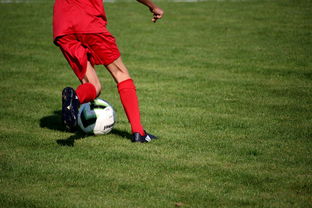 爱游戏体育app-CBA是否鼓励本土教练参与联盟高阶培训体系，cba教练禁赛规定